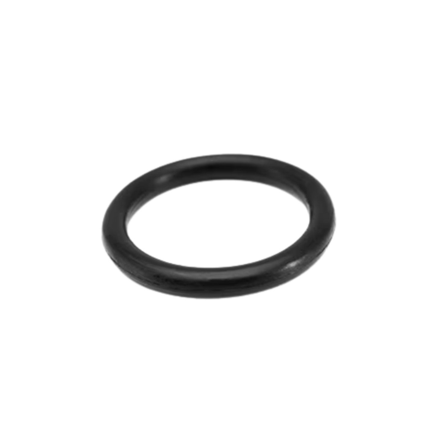 Puretec ROR2 O Ring