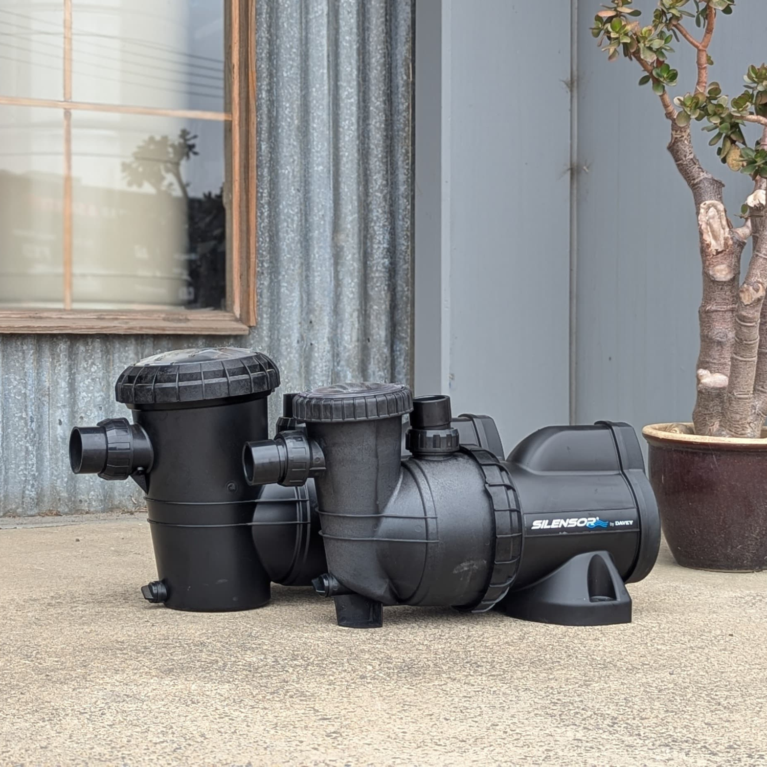 Davey pool pumps