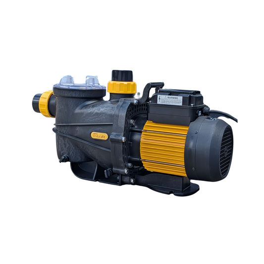 Davey DEFE385 EnduraFit ECO Pool Pump 1.5hp variable speed
