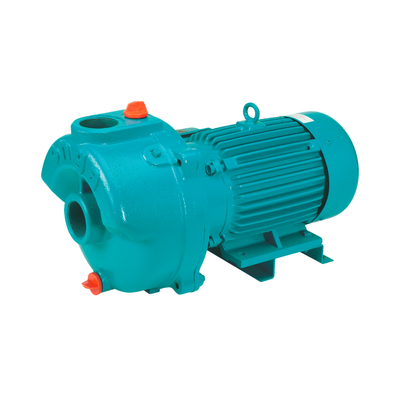 Onga 185 Cast Iron Water Transfer Pump – 3 Phase